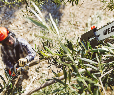 Power Pruners Power Pruners